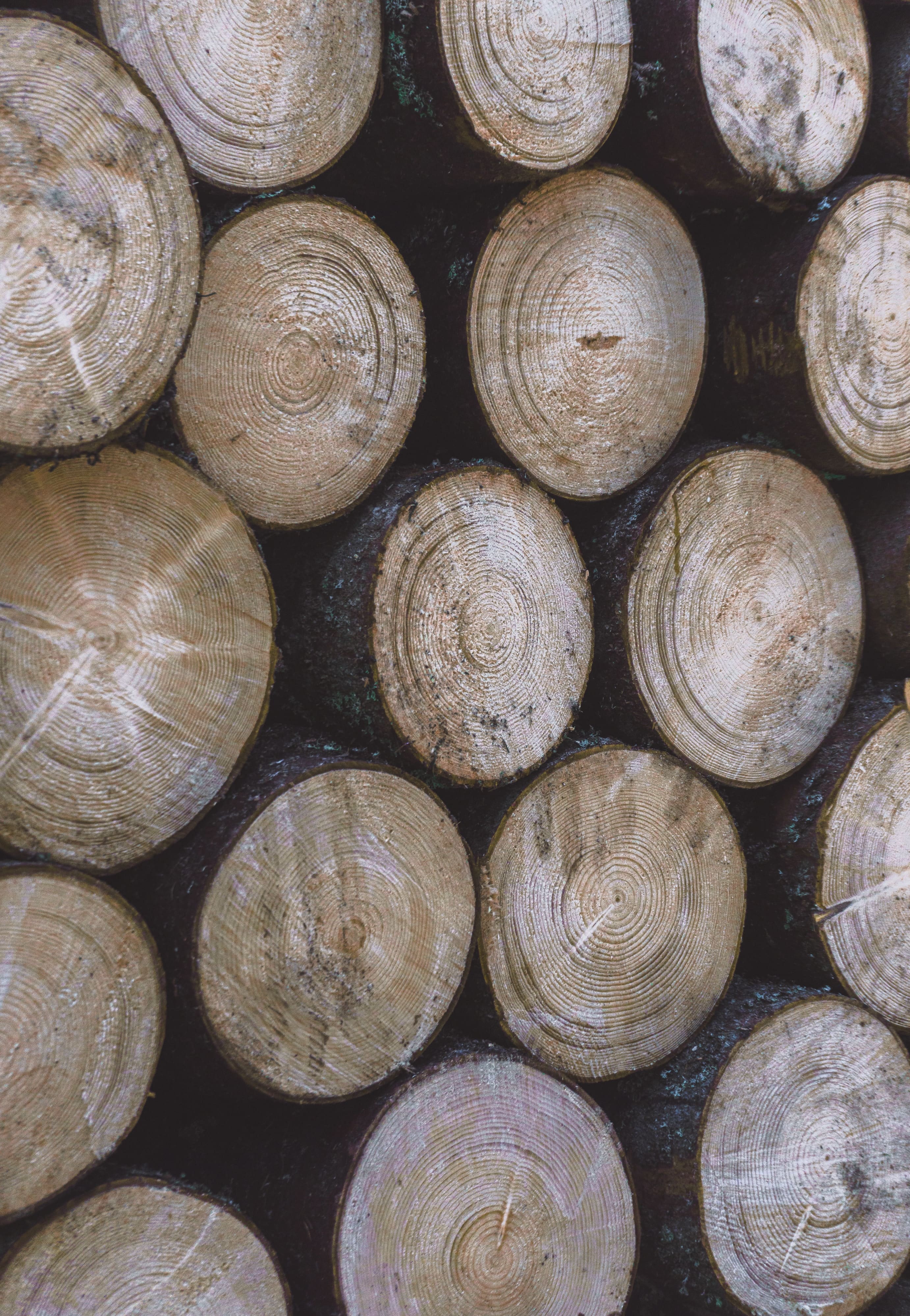 A stack of lumber